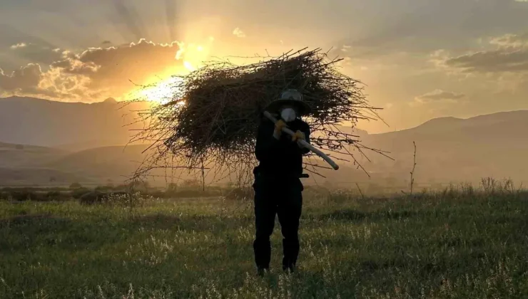 Yüksekova’da çiftçiler kış hazırlığına başladı