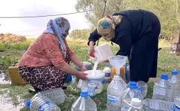 Yüksekova’da Kışlık Süt Hazırlıkları Devam Ediyor