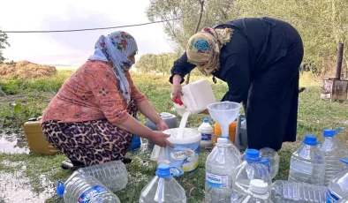 Yüksekova’da Kışlık Süt Hazırlıkları Devam Ediyor