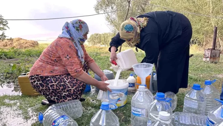 Yüksekova’da Kışlık Süt Hazırlıkları Devam Ediyor